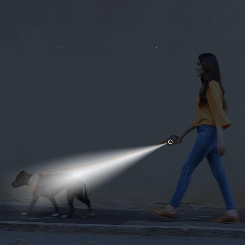 Retractable LED Dog Leash