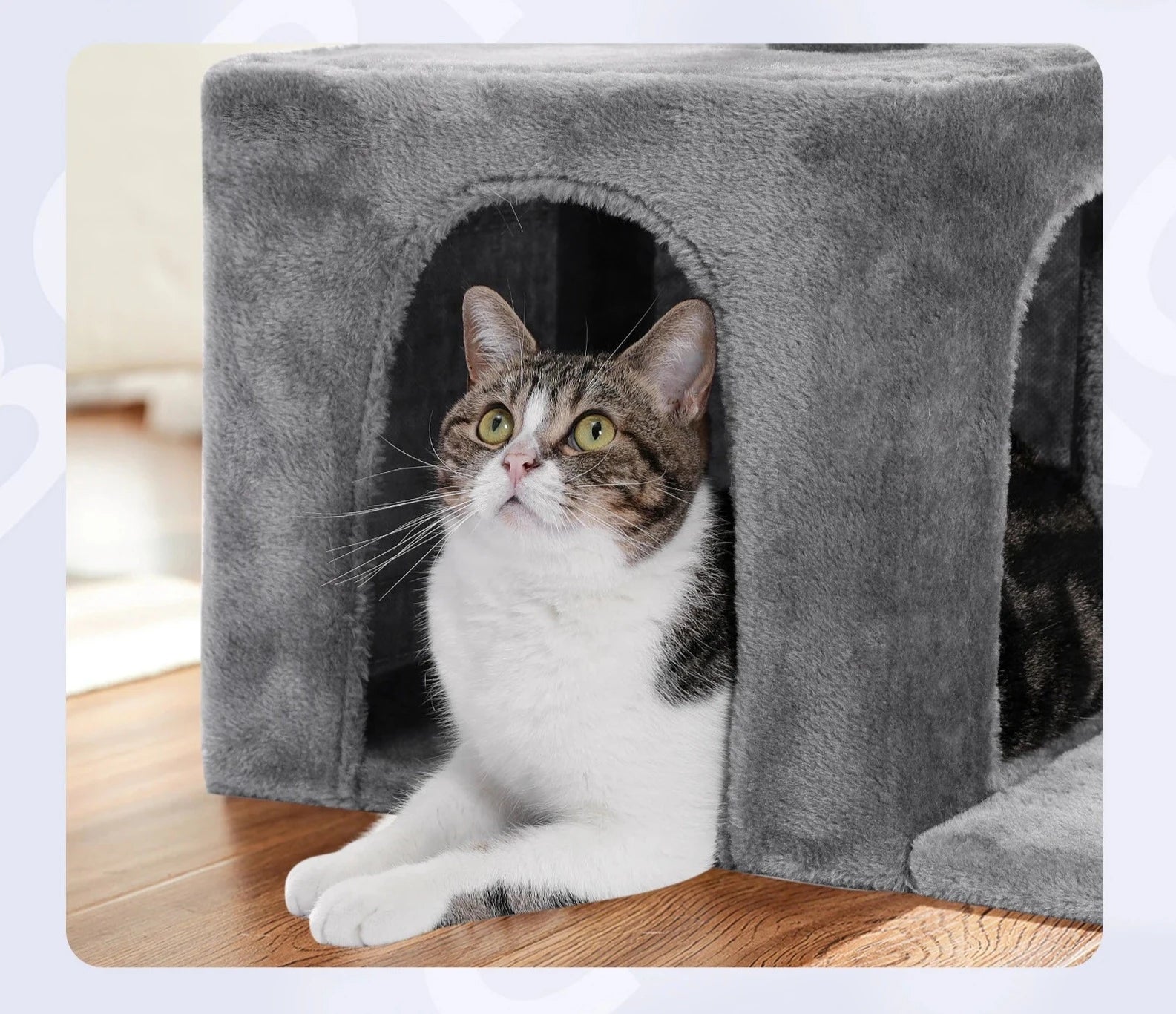 Cat Scratching Tower